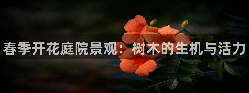 摩根娱乐团:春季开花庭院景观:树木的生机与活力