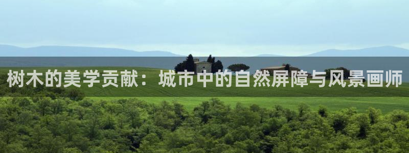 摩根娱乐宝:树木的美学贡献:城市中的自然屏障与风景画师