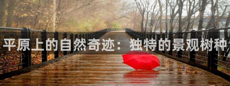 摩根中央公园娱乐:平原上的自然奇迹:独特的景观树种