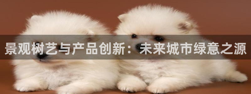 柬埔寨西港摩根娱乐:景观树艺与产品创新:未来城市绿意之源