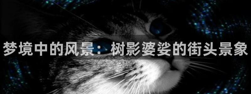 摩根大通黄金娱乐目标价:梦境中的风景:树影婆娑的街头景象