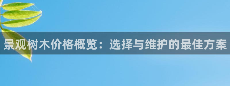 义务摩根娱乐会所:景观树木价格概览:选择与维护的最佳方案