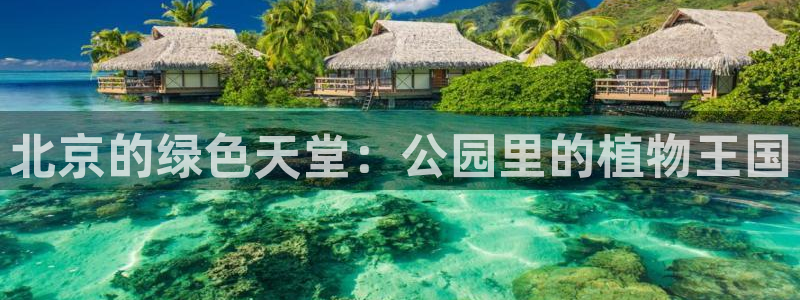 摩根国际娱乐宝官网下载:北京的绿色天堂:公园里的植物王国