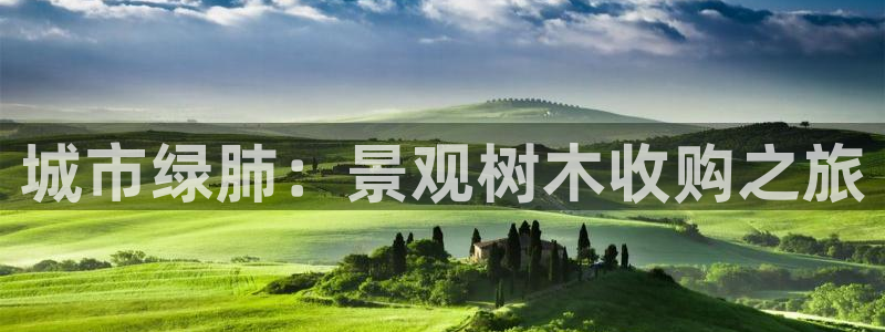 下载摩根娱乐宝:城市绿肺:景观树木收购之旅